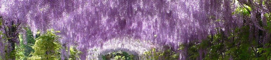 Giardino Bardini: A Hidden Gem in Florence